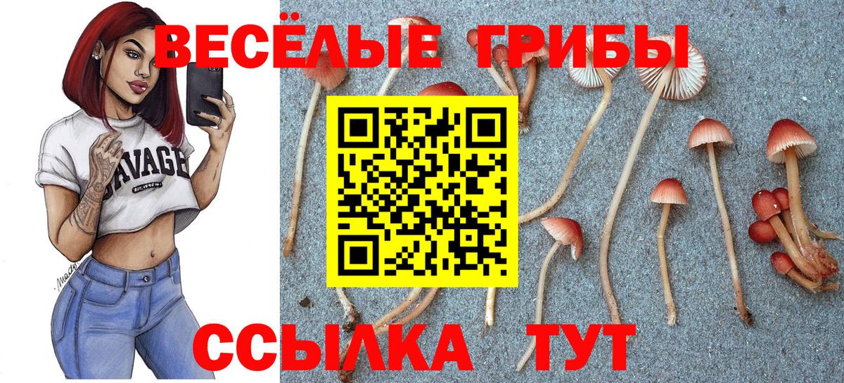 Псилоцибиновые грибы прущие грибы  где продают наркотики  Махачкала  Вход с VPN  Галлюциногенные грибы мухоморы 